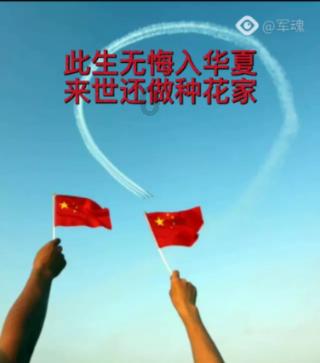 植物大战僵尸3